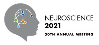 2021_Neuroscience_Meeting_logo